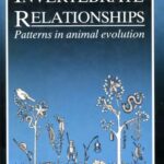 خرید و دانلود نسخه کامل کتاب Invertebrate Relationships: Patterns in Animal Evolution