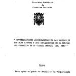 خرید و دانلود نسخه کامل کتاب Investigaciones arqueológicas en las Salinas de San Blas (Junín) y sus implicancias en el Periodo Formativo de la sierra central del Perú