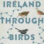 خرید و دانلود نسخه کامل کتاب Ireland Through Birds: Journeys in Search of a Wild Nation