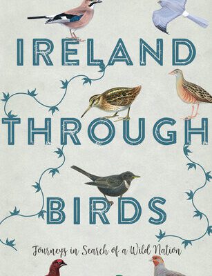خرید و دانلود نسخه کامل کتاب Ireland Through Birds: Journeys in Search of a Wild Nation
