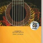 خرید و دانلود نسخه کامل کتاب Irish Music for Guitar