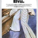 خرید و دانلود نسخه کامل کتاب It’s Easy To Play Elvis