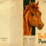 خرید و دانلود نسخه کامل کتاب J. Steinbeck – The Red Pony