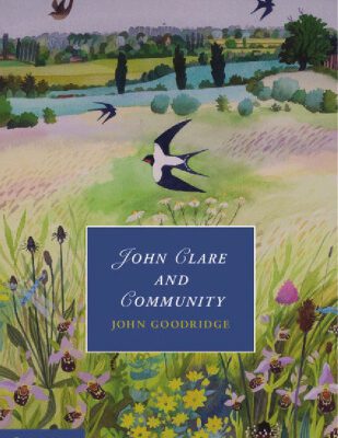 خرید و دانلود نسخه کامل کتاب John Clare and Community