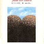 خرید و دانلود نسخه کامل کتاب Juan sin tierra