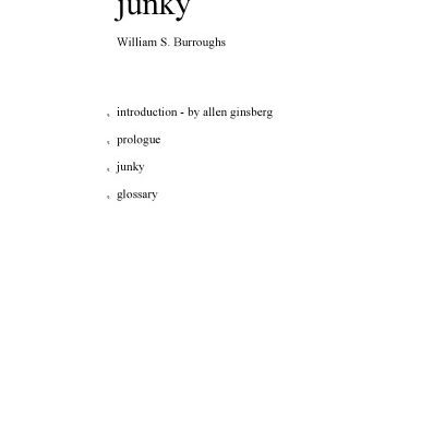 خرید و دانلود نسخه کامل کتاب Junky