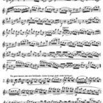 خرید و دانلود نسخه کامل کتاب Karg Elert. 30 Studies For Flute. Op. 107. Ноты для флейты