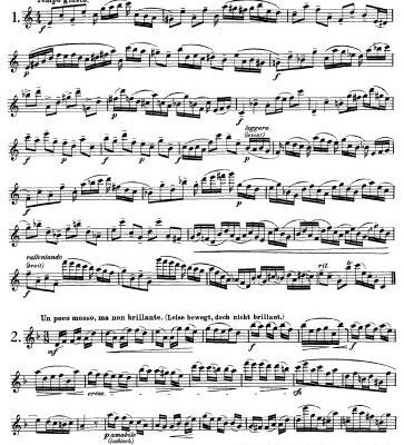 خرید و دانلود نسخه کامل کتاب Karg Elert. 30 Studies For Flute. Op. 107. Ноты для флейты