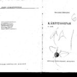 خرید و دانلود نسخه کامل کتاب Kárpitosipar