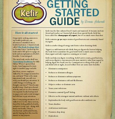خرید و دانلود نسخه کامل کتاب Kefir: Getting Started Guide