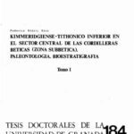 خرید و دانلود نسخه کامل کتاب Kimmeridgiense-Tithonico inferior en el Sector central de las Cordilleras Béticas (Zona Subbética)