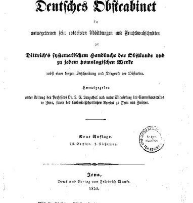خرید و دانلود نسخه کامل کتاب Kirschen