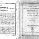 خرید و دانلود نسخه کامل کتاب Klassen und Ordnungen des tier-reichs