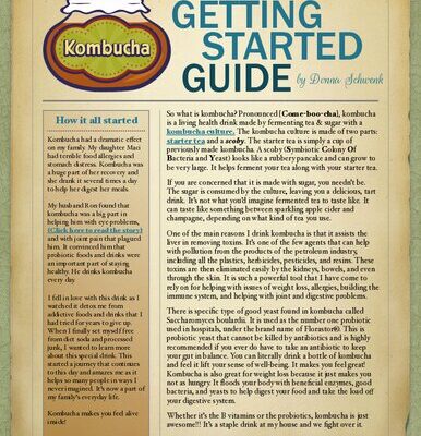 خرید و دانلود نسخه کامل کتاب Kombucha: Getting Started Guide