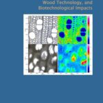 خرید و دانلود نسخه کامل کتاب Kües Ursula Wood production, wood technology, and biotechnological impacts