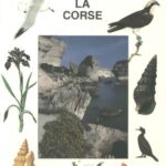 خرید و دانلود نسخه کامل کتاب La Corse