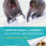 خرید و دانلود نسخه کامل کتاب Laboratory Manual and Workbook for Biological Anthropology: Engaging with Human Evolution