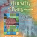 خرید و دانلود نسخه کامل کتاب Laboratory Manual for Comparative Veterinary Anatomy & Physiology, 2nd Edition (Veterinary Technology)