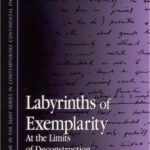 خرید و دانلود نسخه کامل کتاب Labyrinths of Exemplarity: At the Limits of Deconstruction