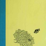 خرید و دانلود نسخه کامل کتاب Lady with a spear