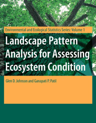 خرید و دانلود نسخه کامل کتاب Landscape Pattern Analysis for Assessing Ecosystem Condition (Environmental and Ecological Statistics)
