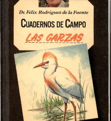 خرید و دانلود نسخه کامل کتاب Las garzas