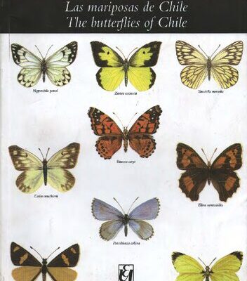 خرید و دانلود نسخه کامل کتاب Las mariposas de Chile