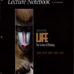 خرید و دانلود نسخه کامل کتاب Lecture Notebook for Life – The Science of Biology, Eighth Edition