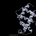 خرید و دانلود نسخه کامل کتاب Lectures On Statistical Physics And Protein Folding