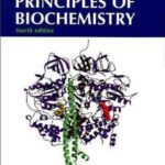 خرید و دانلود نسخه کامل کتاب Lehninger Principles of Biochemistry, Fourth Edition