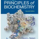 خرید و دانلود نسخه کامل کتاب Lehninger Principles of Biochemistry
