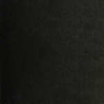 خرید و دانلود نسخه کامل کتاب Lehrbuch der Paläobotanik