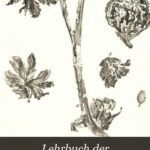 خرید و دانلود نسخه کامل کتاب Lehrbuch der Pflauzenpalaeontologie mit besonderer Rücksicht auf die Bedürfnisse des Geologen