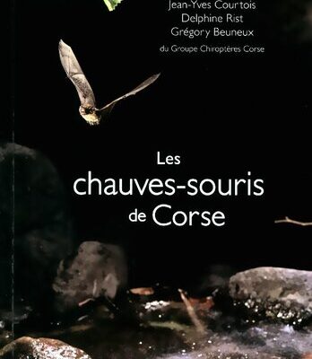 خرید و دانلود نسخه کامل کتاب Les chauves-souris de Corse