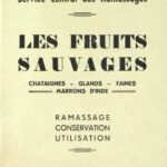 خرید و دانلود نسخه کامل کتاب Les fruits sauvages: ramassage, conservation, utilisation