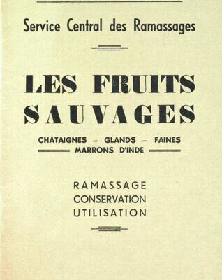 خرید و دانلود نسخه کامل کتاب Les fruits sauvages: ramassage, conservation, utilisation