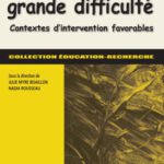 خرید و دانلود نسخه کامل کتاب Les jeunes en grande difficulte