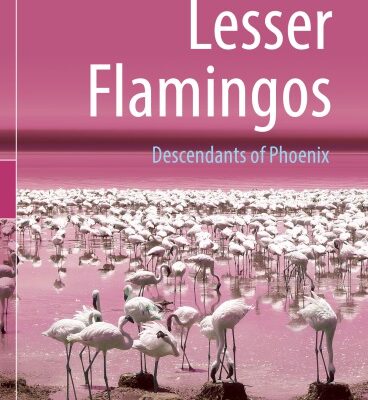 خرید و دانلود نسخه کامل کتاب Lesser Flamingos: Descendants of Phoenix