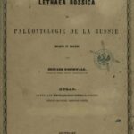 خرید و دانلود نسخه کامل کتاب Lethaea rossica ou paléontologie de la Russie. Second volume. Période moyenne. Atlas