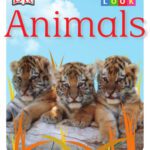 خرید و دانلود نسخه کامل کتاب Let’s Look: Animals