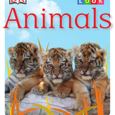 خرید و دانلود نسخه کامل کتاب Let’s Look: Animals