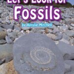 خرید و دانلود نسخه کامل کتاب Let’s Look for Fossils