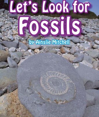 خرید و دانلود نسخه کامل کتاب Let’s Look for Fossils