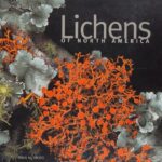 خرید و دانلود نسخه کامل کتاب Lichens of North America