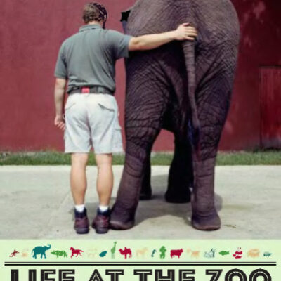 خرید و دانلود نسخه کامل کتاب Life at the Zoo: Behind the Scenes with the Animal Doctors