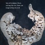 خرید و دانلود نسخه کامل کتاب Life Sculpted: Tales of the Animals, Plants, and Fungi That Drill, Break, and Scrape to Shape the Earth
