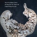 خرید و دانلود نسخه کامل کتاب Life sculpted. Tales of the animals, plants, and fungi that drill, break, and scrape to shape the earth