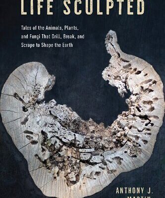 خرید و دانلود نسخه کامل کتاب Life sculpted. Tales of the animals, plants, and fungi that drill, break, and scrape to shape the earth