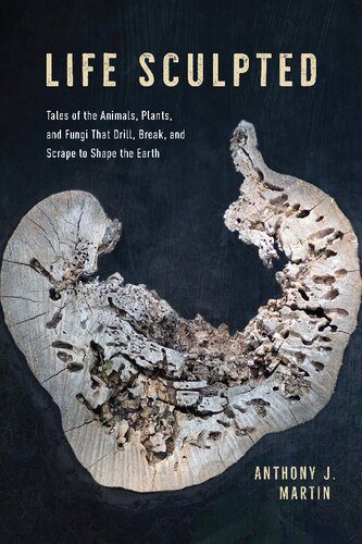 خرید و دانلود نسخه کامل کتاب Life sculpted. Tales of the animals, plants, and fungi that drill, break, and scrape to shape the earth_68e89b61c238b.jpeg خرید و دانلود نسخه کامل کتاب Life sculpted. Tales of the animals, plants, and fungi that drill, break, and scrape to shape the earth