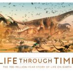 خرید و دانلود نسخه کامل کتاب Life Through Time: The 700-Million-Year Story of Life on Earth